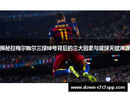 揭秘拉梅尔鲍尔三球绰号背后的三大因素与篮球天赋渊源