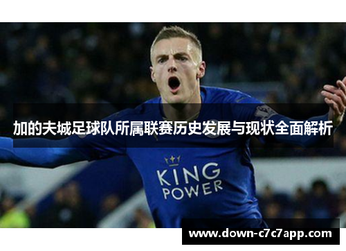 加的夫城足球队所属联赛历史发展与现状全面解析 加的夫城足球队所属联赛历史发展与现状全面解析