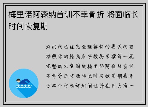 梅里诺阿森纳首训不幸骨折 将面临长时间恢复期